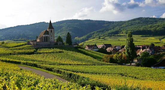 Camping im Elsass - CampingDirect - Bild n°1