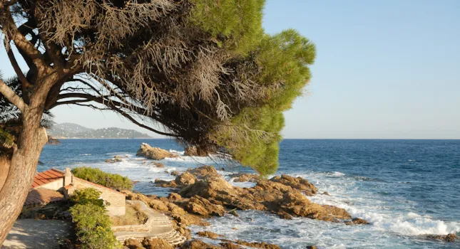 Camping sur la Côte d'Azur en bord de mer - CampingDirect - Image n°2