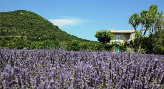 Camping in der Drôme - CampingDirect - Bild n°1