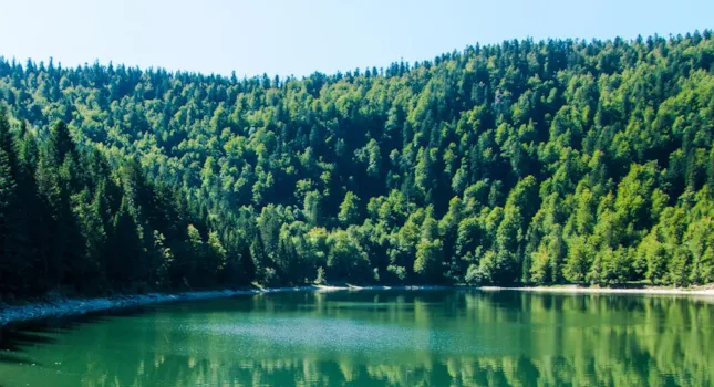 Campingplads Øst området - CampingDirect - Billede n°2