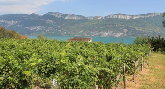 Camping en Rhône Alpes en bord de lac - CampingDirect - Image n°1