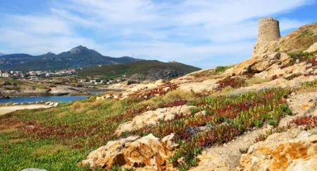 Ile Rousse - Camping Direct 