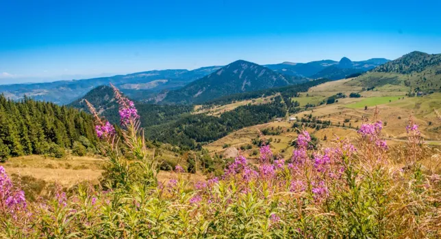 Camping Auvergne-Rhône-Alpes - CampingDirect - Image n°2