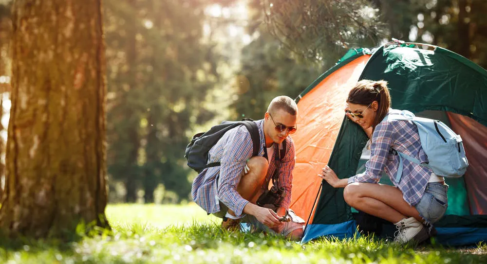 Petits campings Pays - Bas - Camping Direct