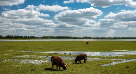 Camping in Drenthe - CampingDirect - Bild n°1