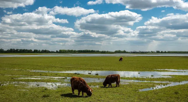 Camping in Drenthe - CampingDirect - Bild n°2