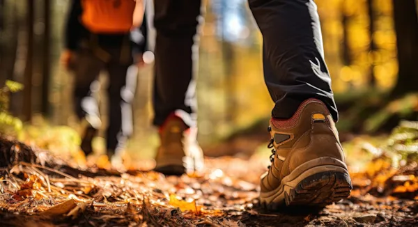 5 bonnes raisons de camper à la Toussaint