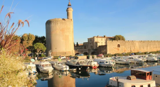 Camping Aigues-Mortes - CampingDirect - Image n°1