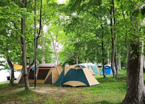 Camping éco-responsable - CampingDirect