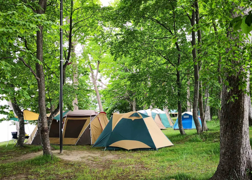 Camping 3 étoiles - Camping Direct