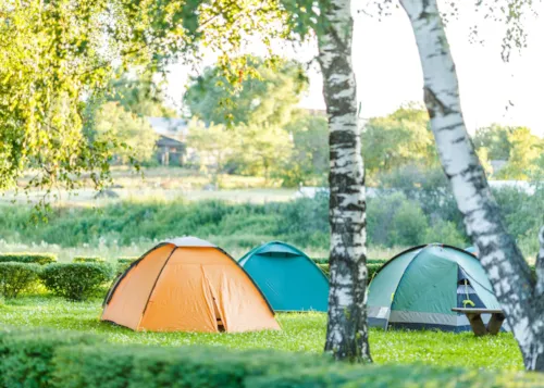 Natuurcampings - CampingDirect