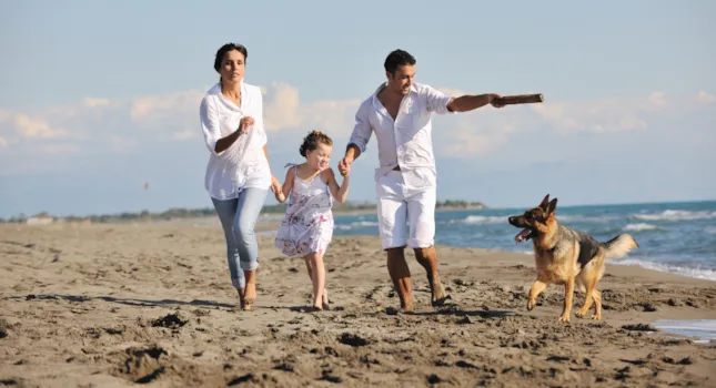 Destinos de camping con perros. Encuentra los campings que admiten perros en los mejores destinos. - CampingDirect