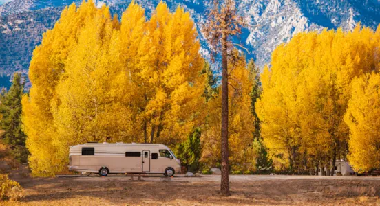 Campings para el puente de diciembre - CampingDirect - Imagen n°1