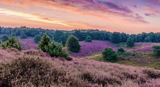 Campeggi nella Gheldria - CampingDirect - Immagine n°1