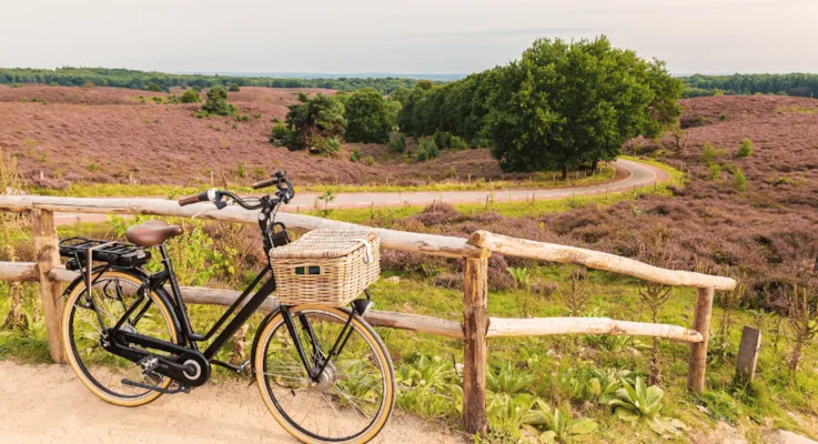 Printemps : Nos idées d'activités en plein air ! - CampingDirect