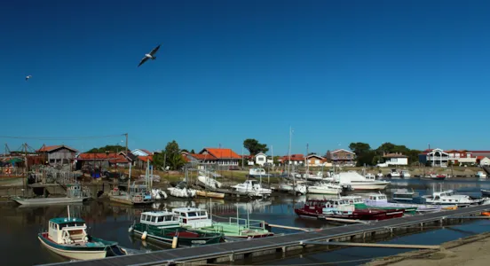 Camping La Teste-de-Buch - CampingDirect - Image n°1