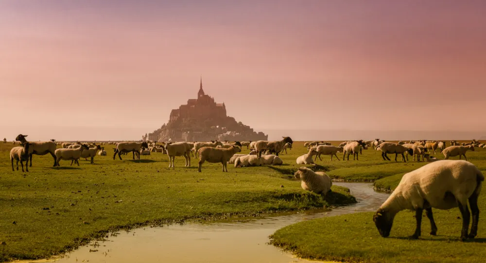 Semi-marathon du Mont Saint-Michel : Préparez-vous à l’aventure ! - CampingDirect - Image n°4