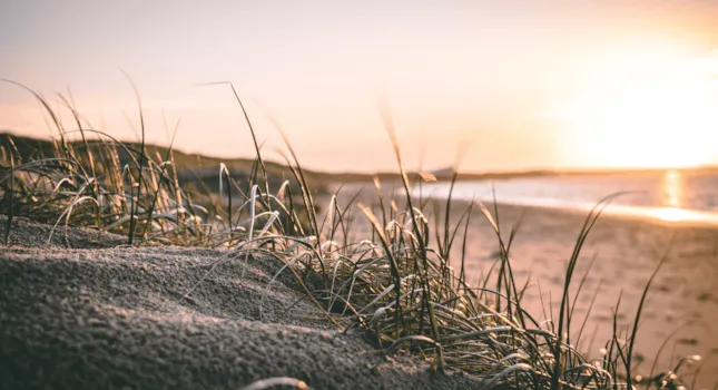 Camping in Ouddorp - CampingDirect - Bild n°2