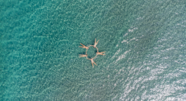 Vivez Une Exp rience Naturiste Authentique Avec NATURISME FR