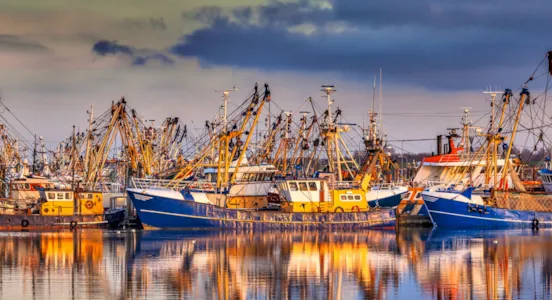 Camping in Lauwersoog - CampingDirect - Bild n°1