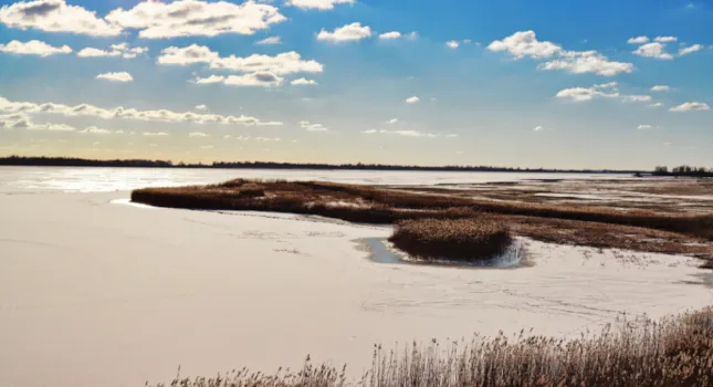 Camping in Lauwersoog - CampingDirect - Bild n°2