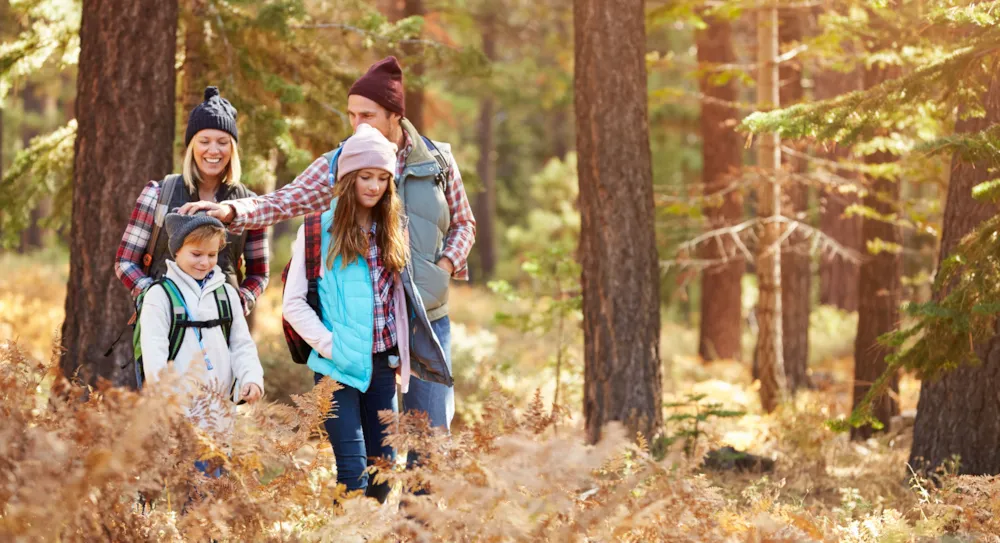 Redécouvrir la nature à travers le camping minimaliste - CampingDirect - Image n°5