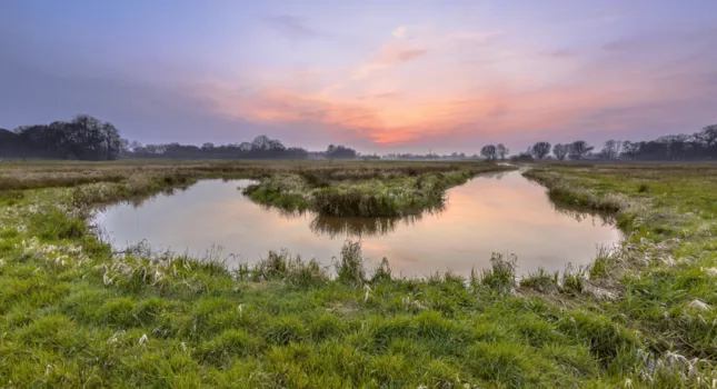 Camping Nijverdal - CampingDirect - Afbeelding n°2