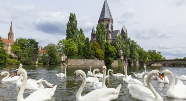 La Fête de la Mirabelle 2024 à Metz