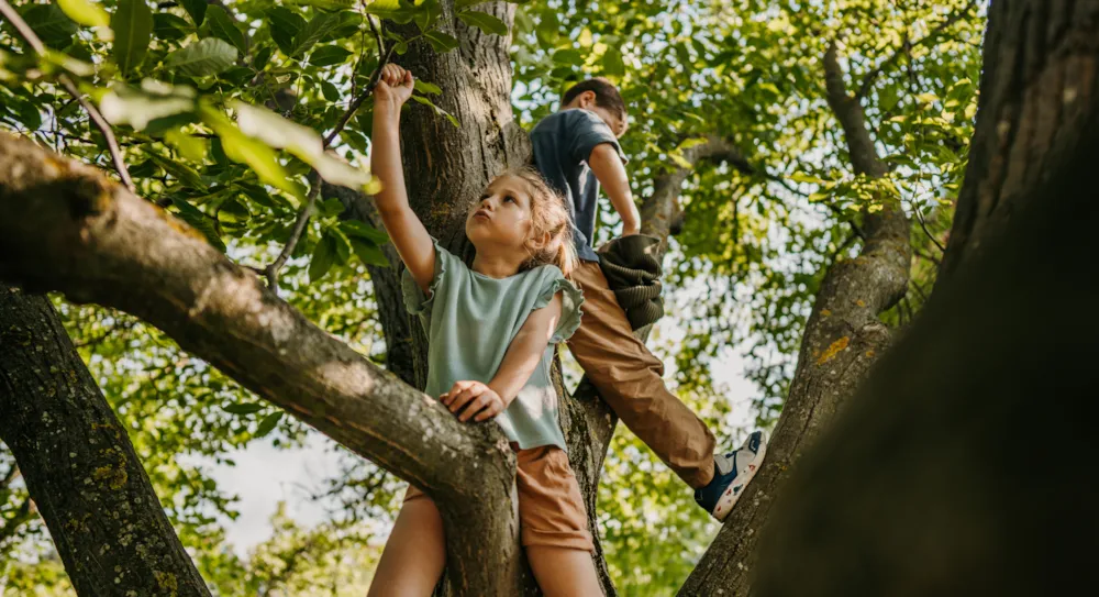 Journée internationale de l'air pur : Conseils pour un séjour écoresponsable - CampingDirect - Image n°6