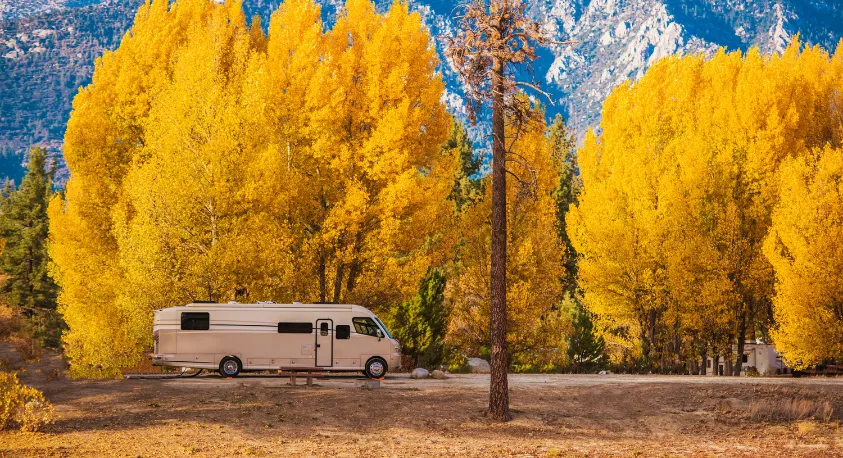 Camping im Herbst: Warum und wohin sich jetzt ein Campingtrip lohnt  - CampingDirect - Bild n°1