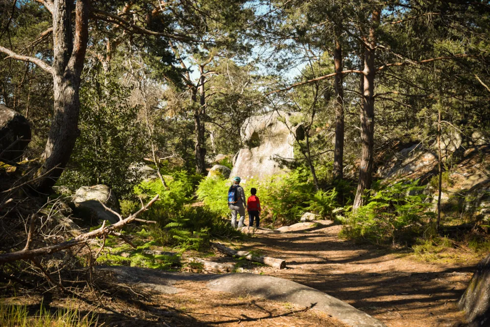 Coolcation: la nuova tendenza per vacanze fresche e rilassanti - CampingDirect - Immagine n°5