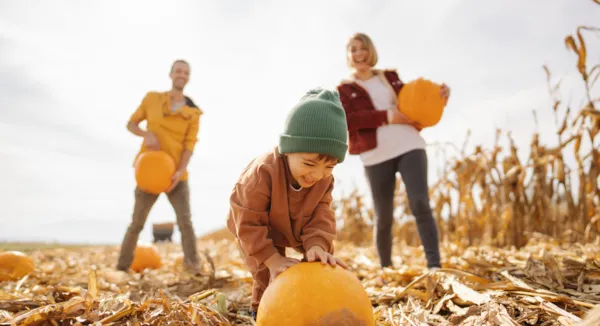 Halloween en camping avec vos enfants