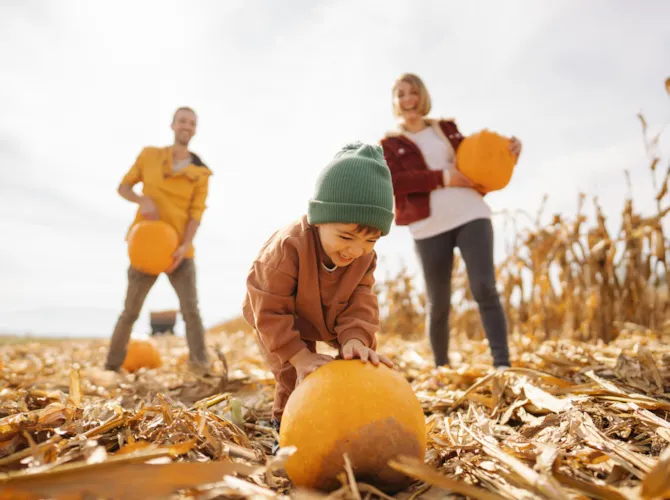 Camping en Halloween - CampingDirect