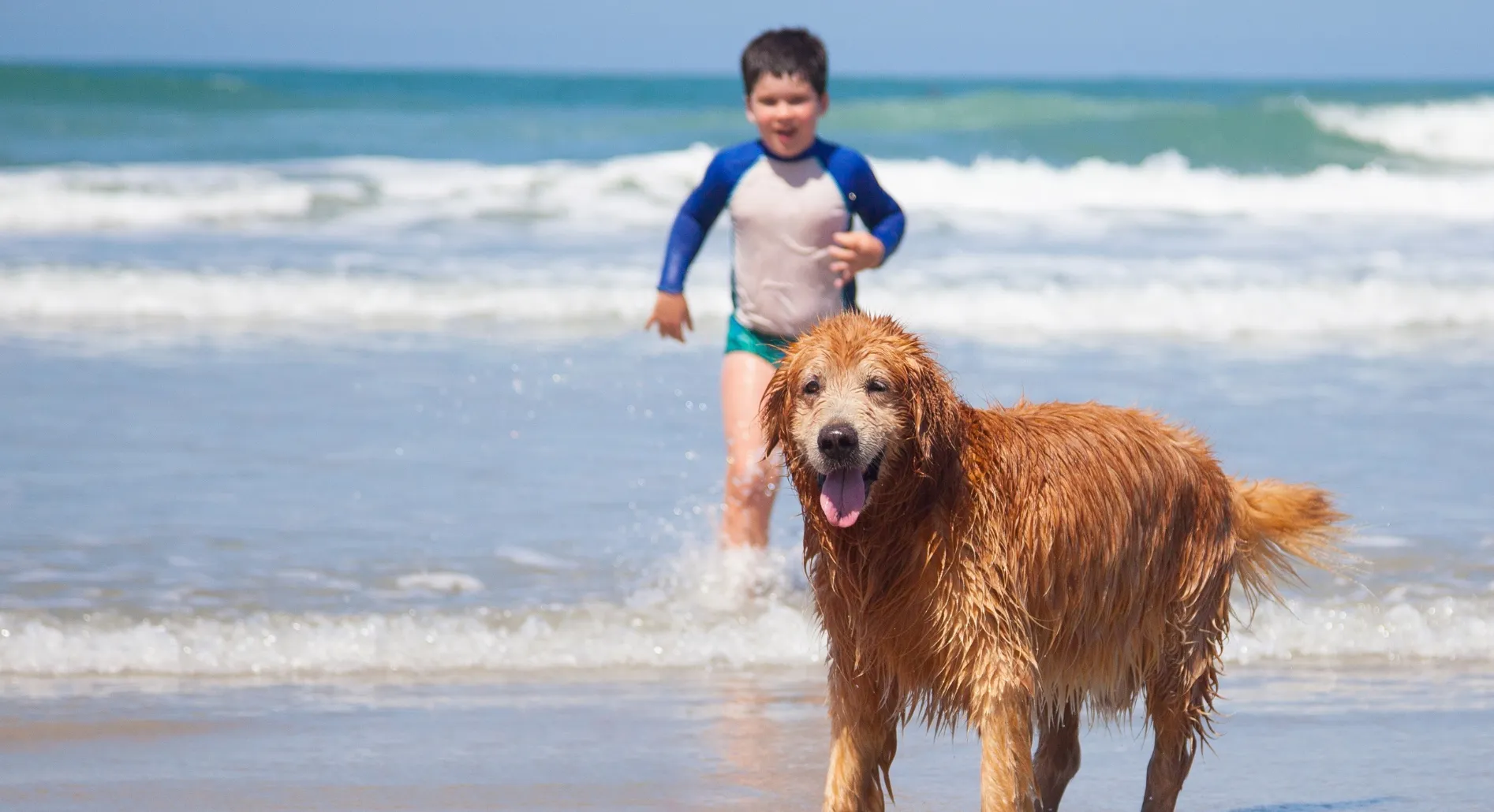 Campings con perros en Cádiz - CampingDirect