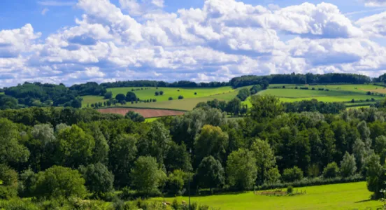 Camping in Limburg - CampingDirect - Bild n°1