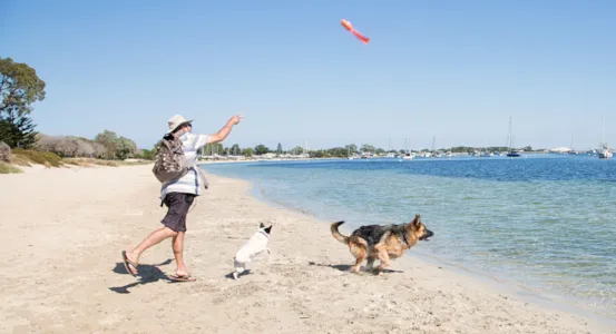 Camping con perros en la Costa Brava - CampingDirect - Imagen n°1