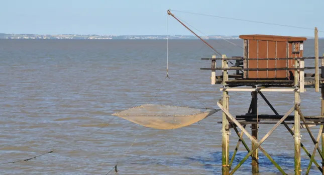 Camping Meschers-sur-Gironde - CampingDirect - Image n°2