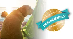 Certification Dog friendly - CampingDirect