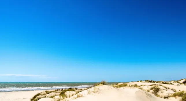 Camping en Doñana - CampingDirect - Imagen n°2