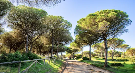 Camping en Barbate y alrededores - CampingDirect - Imagen n°1