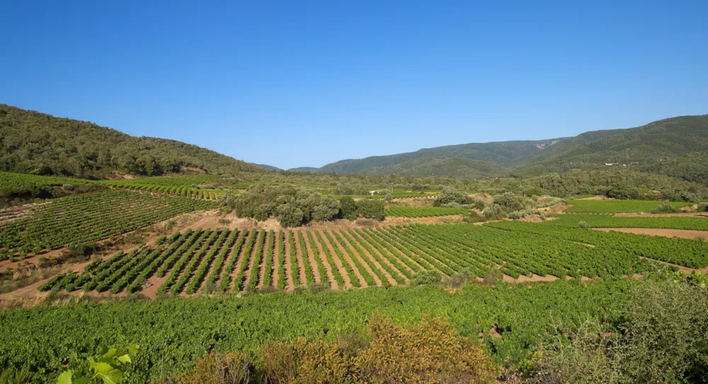 Séjour en camping en Provence-Alpes-Côte d'Azur - CampingDirect - Image n°4