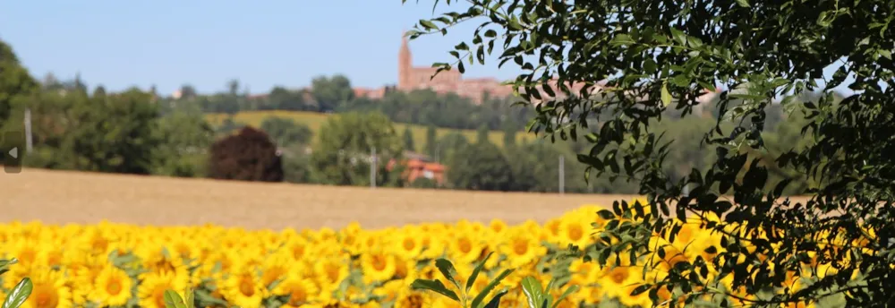 Federatie van Franse Naturistencampings