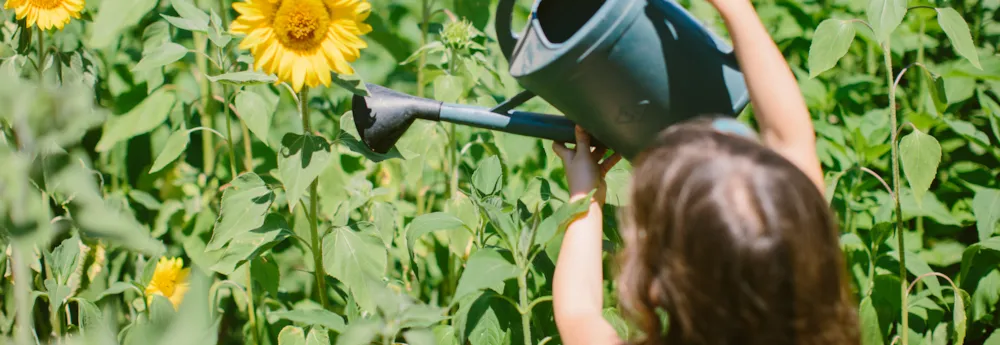 CONSEILS POUR LE NATURISTE DÉBUTANT