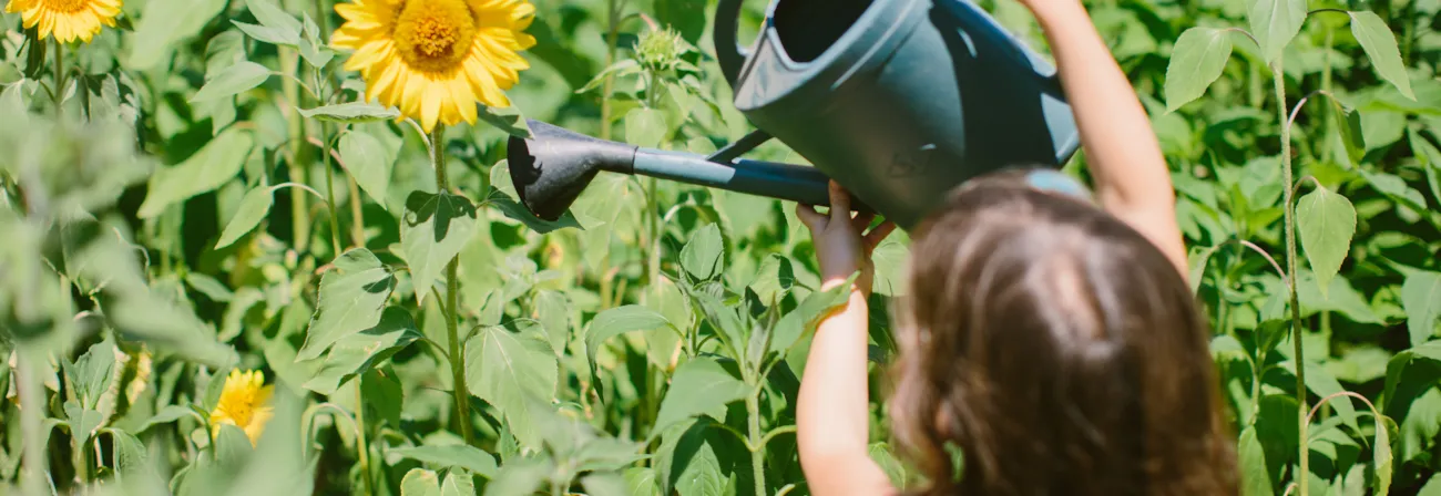 CONSEILS POUR LE NATURISTE DÉBUTANT