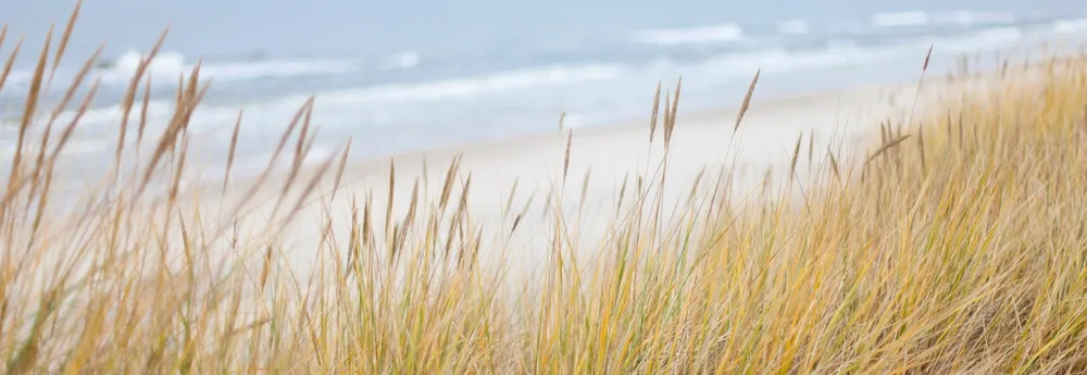 Naturisme, hoe begin je eraan