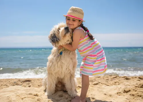 Campings avec chiens acceptés - CampingDirect