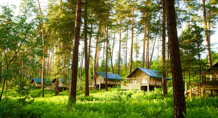 Glamping pour un séjour luxueux en pleine nature - CampingDirect