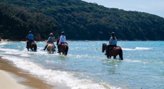 Campeggi in Maremma - CampingDirect - Immagine n°1