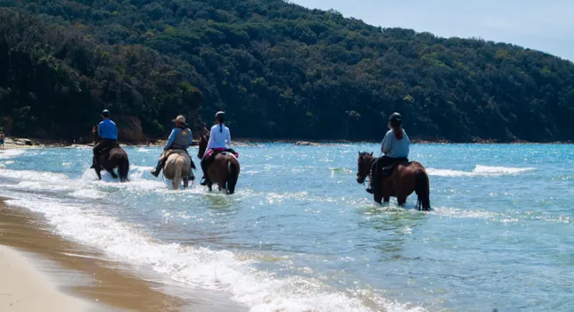 Campeggi in Maremma - CampingDirect - Immagine n°2