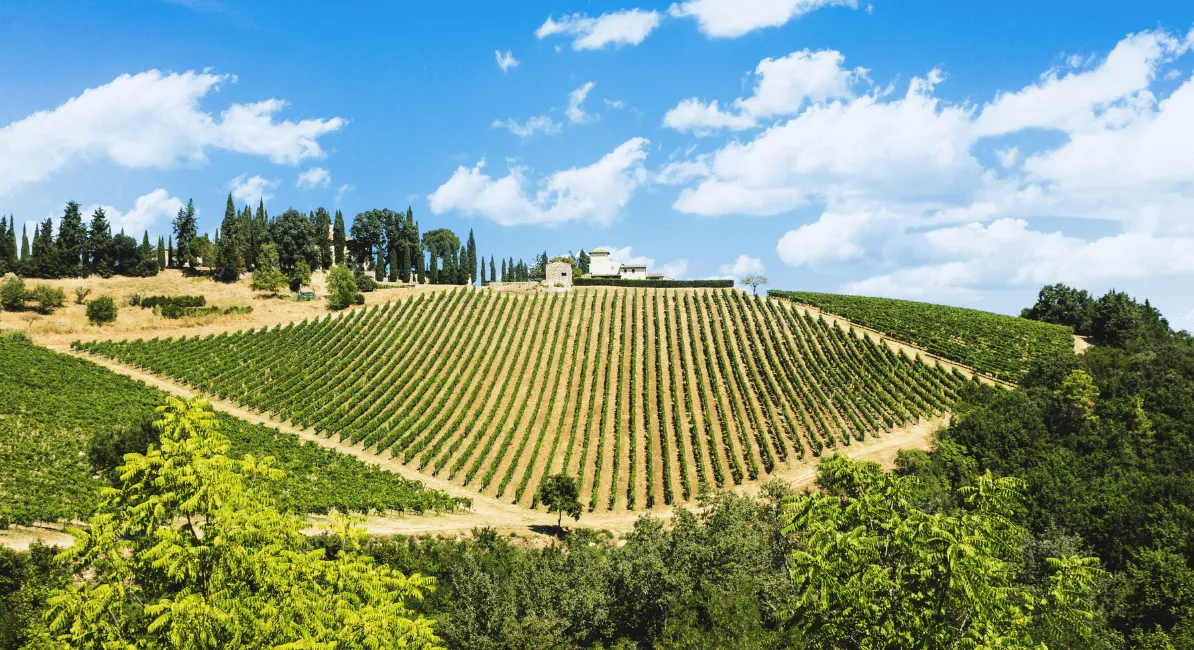 Campeggi nel Chianti - CampingDirect